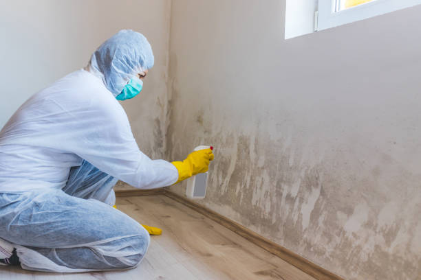Hvac And Air Duct Mold Remediation inspection of HVAC system in Old Westbury